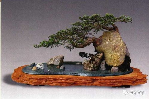 水泥構件在樹石盆景中的創(chuàng)新藝術表現(xiàn)